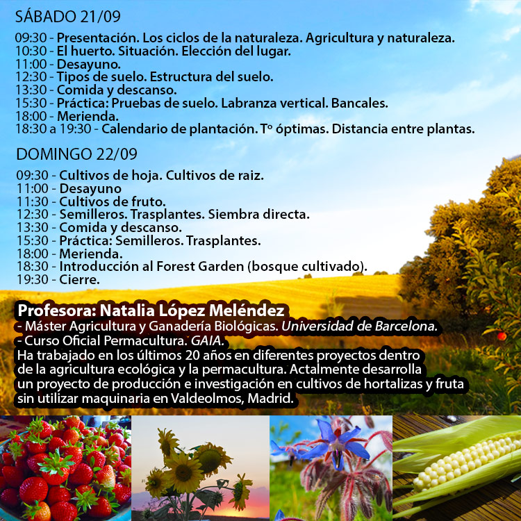 programa-taller 11